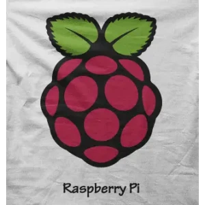 Camiseta Raspberry Pi-detalle