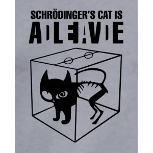Camiseta Schrodingers cat-detalle