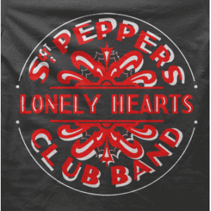 Camiseta Sgt Peppers Lonely Hearts-detalle
