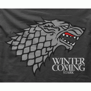 Camiseta Stark-detalle