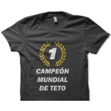 Camiseta Teto