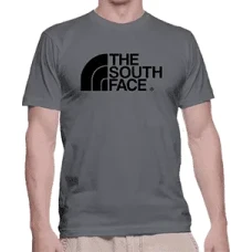 Camiseta The south face