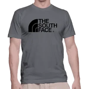 Camiseta The south face