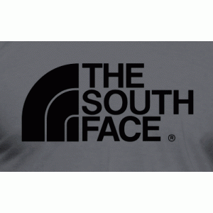 Camiseta The south face-detalle