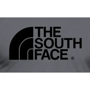 Camiseta The south face-detalle