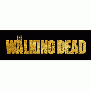 Camiseta The walking dead-detalle