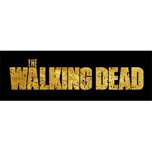 Camiseta The walking dead-detalle