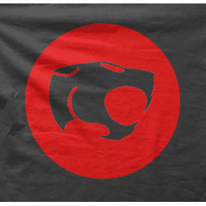Camiseta Thundercats-detalle