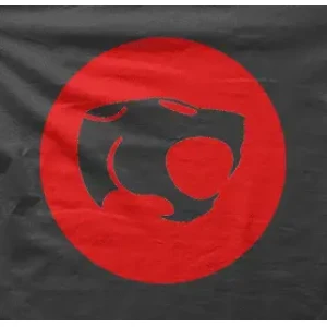 Camiseta Thundercats-detalle
