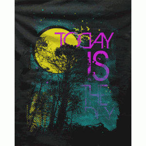 Camiseta Today-is-the-day-detalle