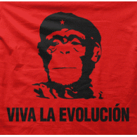 Camiseta Viva la evolución-detalle