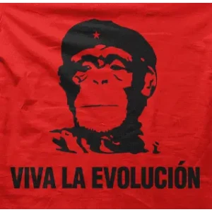 Camiseta Viva la evolución-detalle