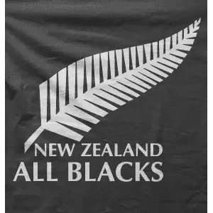 Camiseta all blacks-detalle