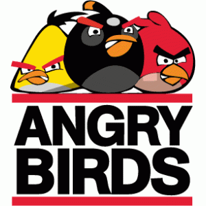 Camiseta angry birds III-detalle