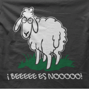 Camiseta beeeee-detalle
