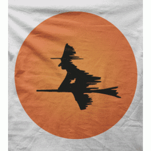 Camiseta bruja-detalle