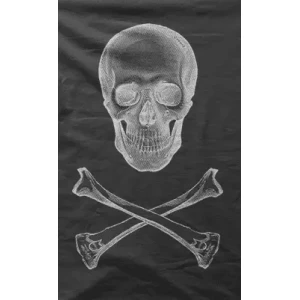 Camiseta calavera-detalle