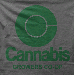 Camiseta cannabis-detalle