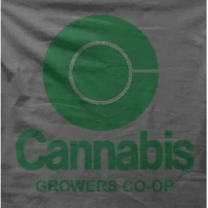 Camiseta cannabis-detalle