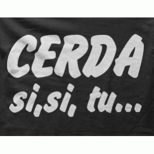 Camiseta cerda-detalle