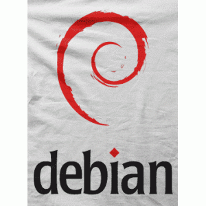 Camiseta debian III-detalle