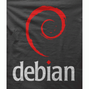 Camiseta debian-detalle