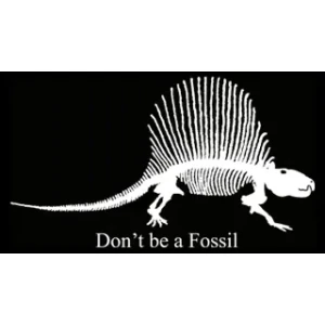 Camiseta dinosaurio-detalle