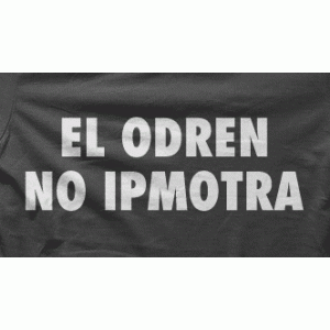 Camiseta el orden-detalle