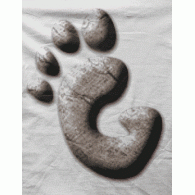 Camiseta gnome linux-detalle