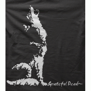 Camiseta grateful dead-detalle