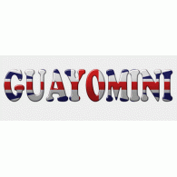 Camiseta guayomini-detalle