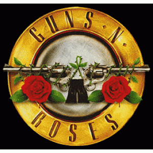 Camiseta guns n roses-detalle