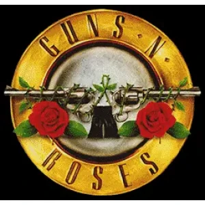 Camiseta guns n roses-detalle