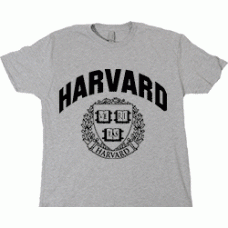 Camiseta harvard university