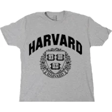 Camiseta harvard university