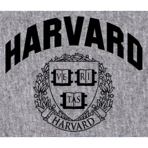 Camiseta harvard university-detalle