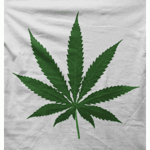 Camiseta hoja marihuana-detalle