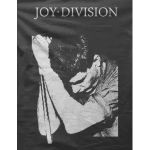 Camiseta ian curtis-detalle