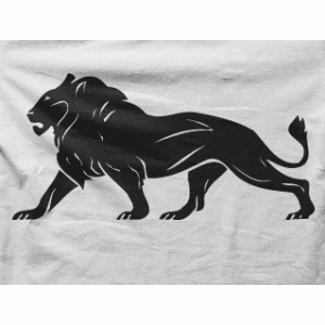 Camiseta leon-detalle
