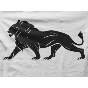 Camiseta leon-detalle