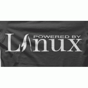 Camiseta linux-detalle