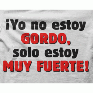 Camiseta no estoy gordo-detalle