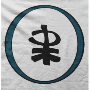 Camiseta simbolo japones-detalle