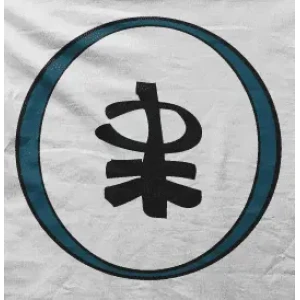 Camiseta simbolo japones-detalle