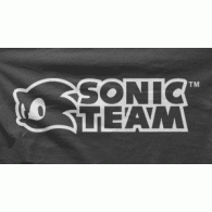 Camiseta sonic team-detalle