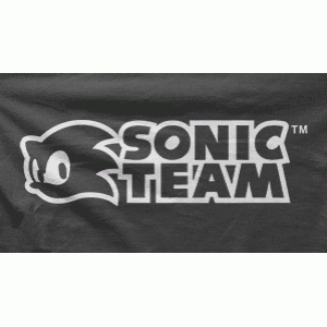 Camiseta sonic team-detalle