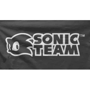 Camiseta sonic team-detalle