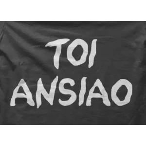 Camiseta toi ansiao-detalle