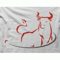 Camiseta toro-detalle