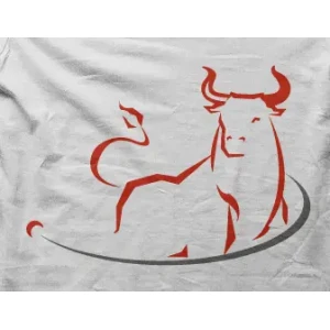 Camiseta toro-detalle